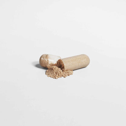 Ascended Mushroom Blend