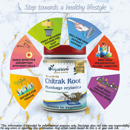 DivyaHerb Chitrak Root Powder 100 gram - Daily Wellness Support