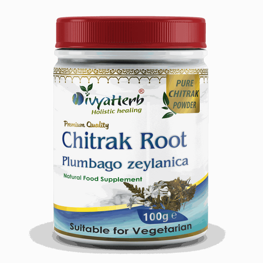 DivyaHerb Chitrak Root Powder 100 gram - Daily Wellness Support
