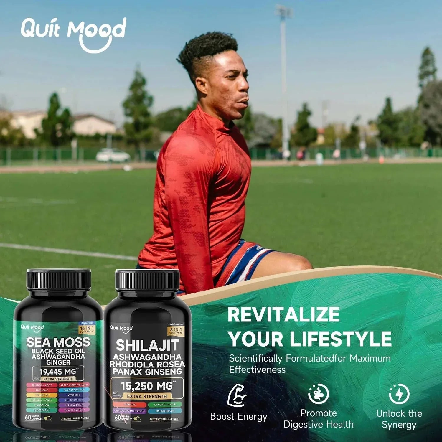 Sea Moss and shilajit