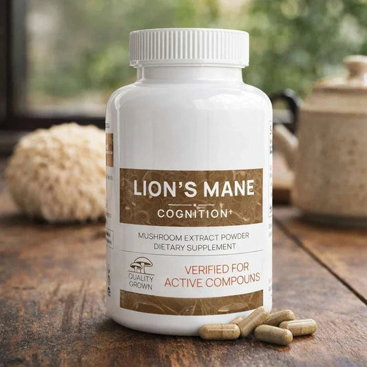 Lion’s Mane Mushroom