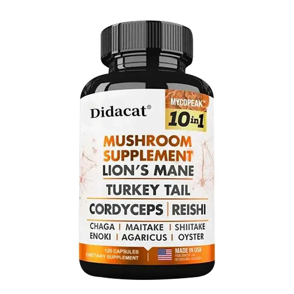 S7b66a3d4571340b1b6a2883f08f9939bg