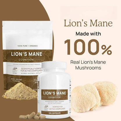 Lion’s Mane Mushroom