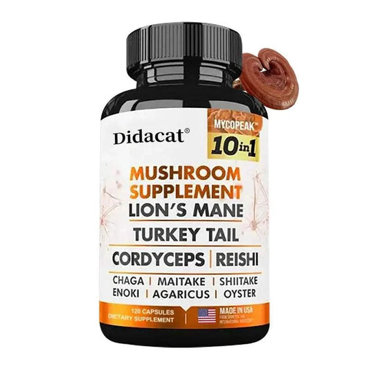 Didacat 10x Mushroom Complex Capsules bottle with Lions Mane and Chaga for memory and immunity booster