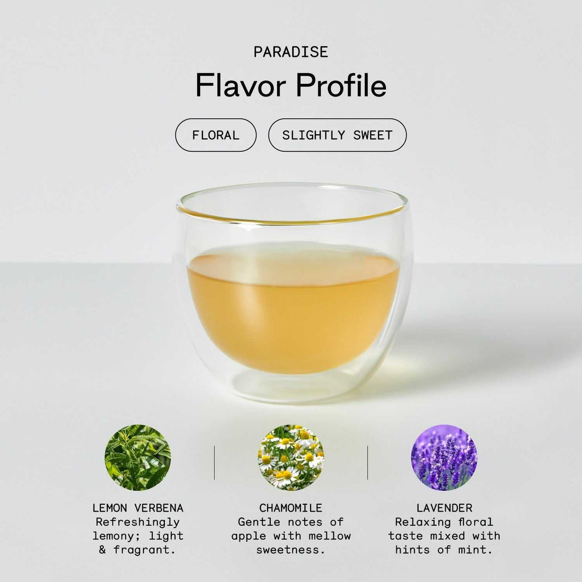 Sleep Support Bundle